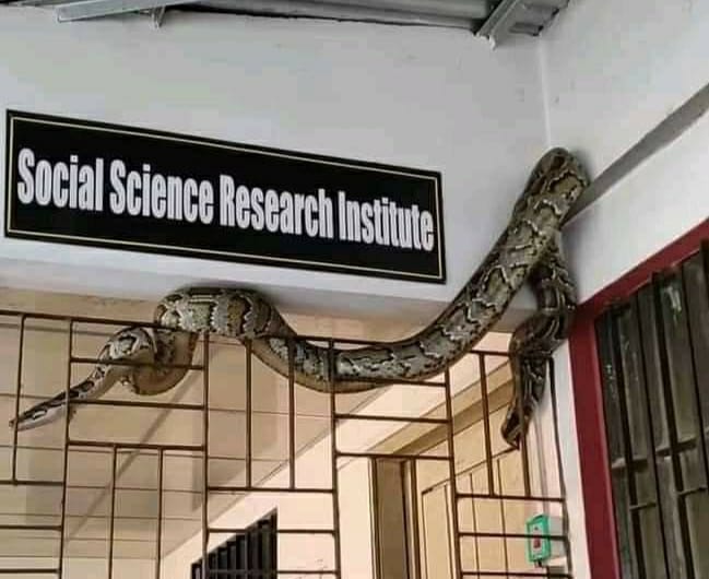 চবির একটি গবেষণা ইনস্টিটিউটের জানালায় ১২ ফুট লম্বা অজগর