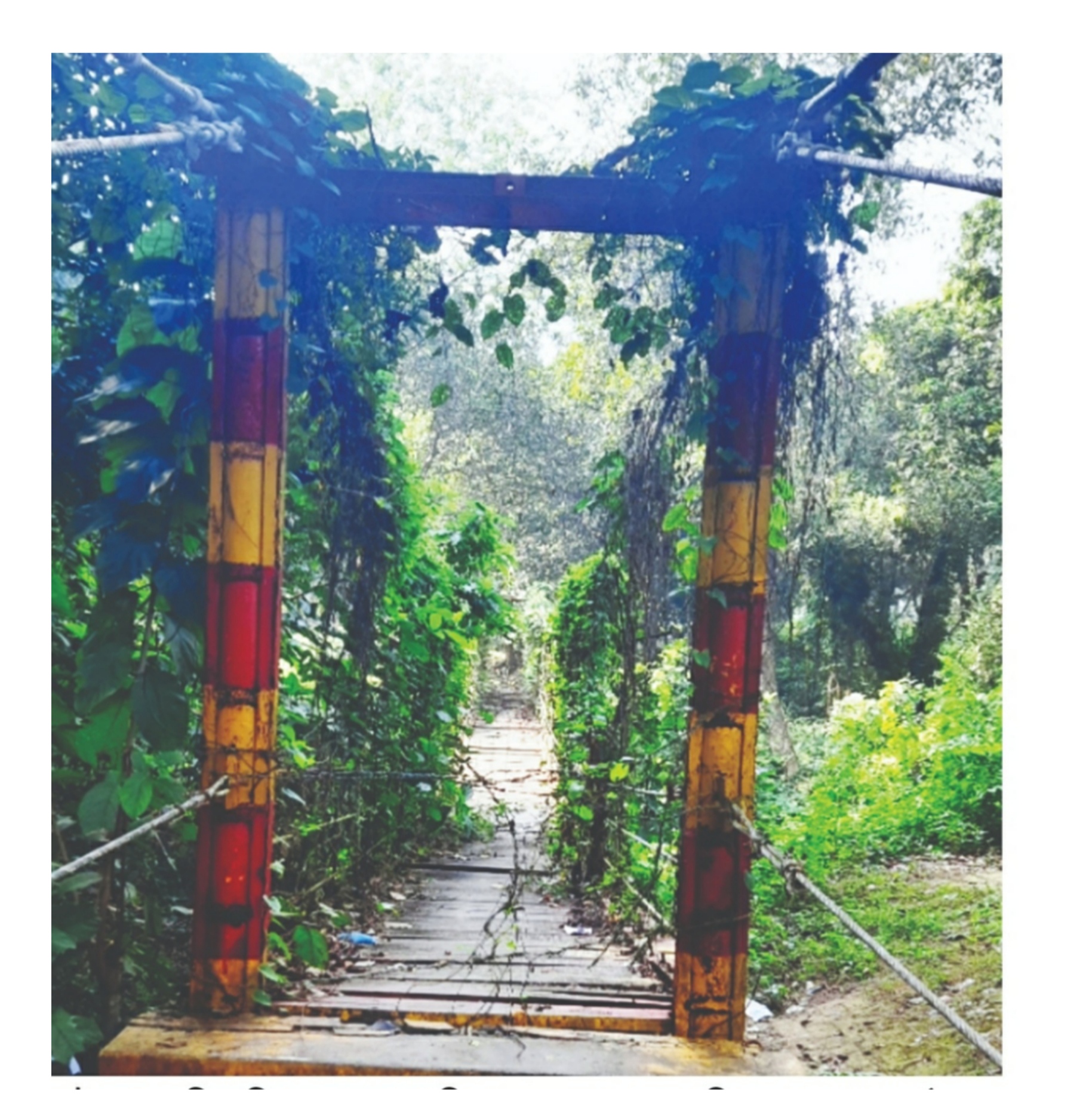 ৩ বছর ধরে কাটাতারে আটকা চবির সেই ঝুলন্ত সেতু