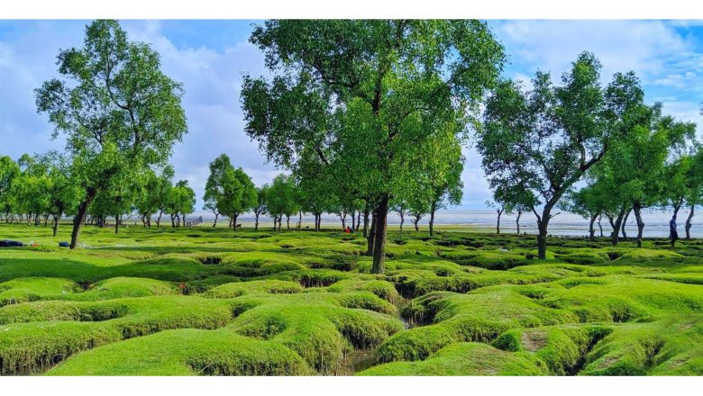 সীতাকুণ্ডের গুলিয়াখালী সমুদ্র সৈকতকে পর্যটন সংরক্ষিত এলাকা ঘোষণা