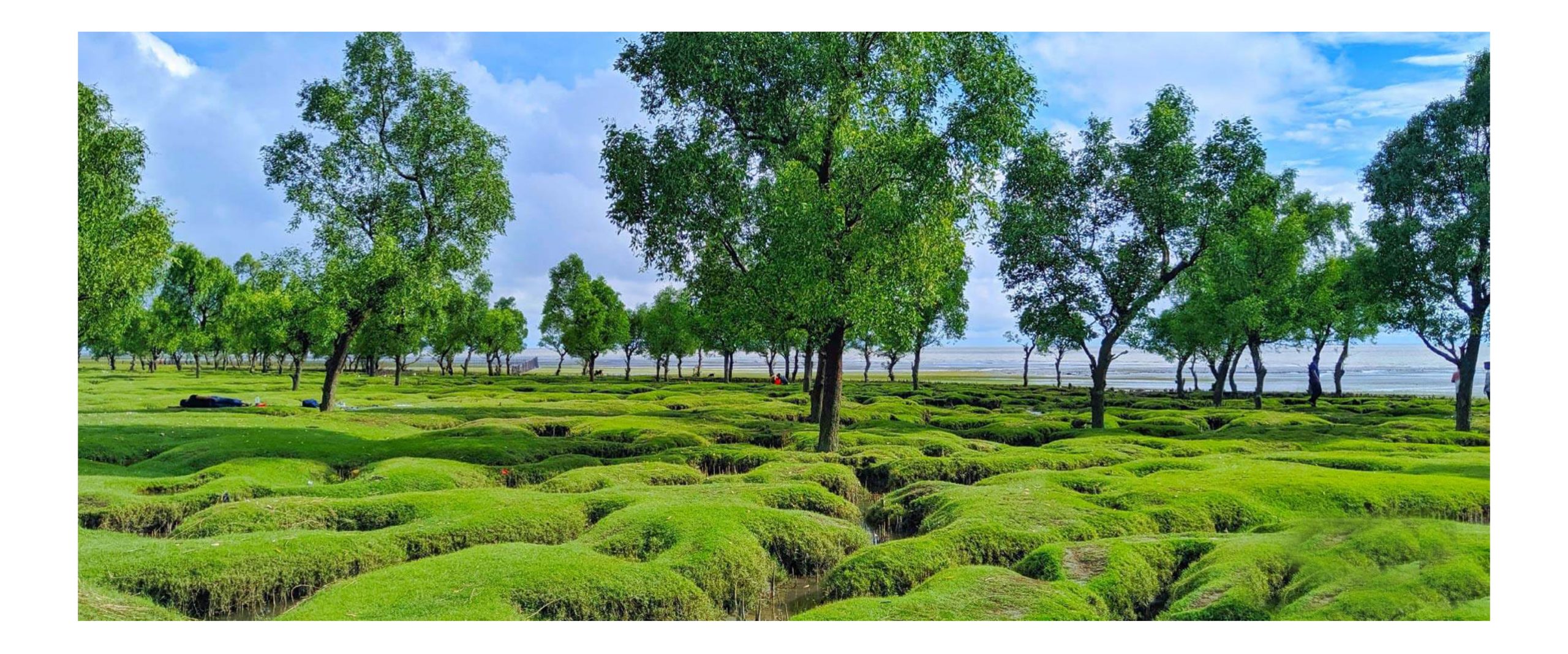 সীতাকুণ্ডের গুলিয়াখালী সমুদ্র সৈকতকে পর্যটন সংরক্ষিত এলাকা ঘোষণা