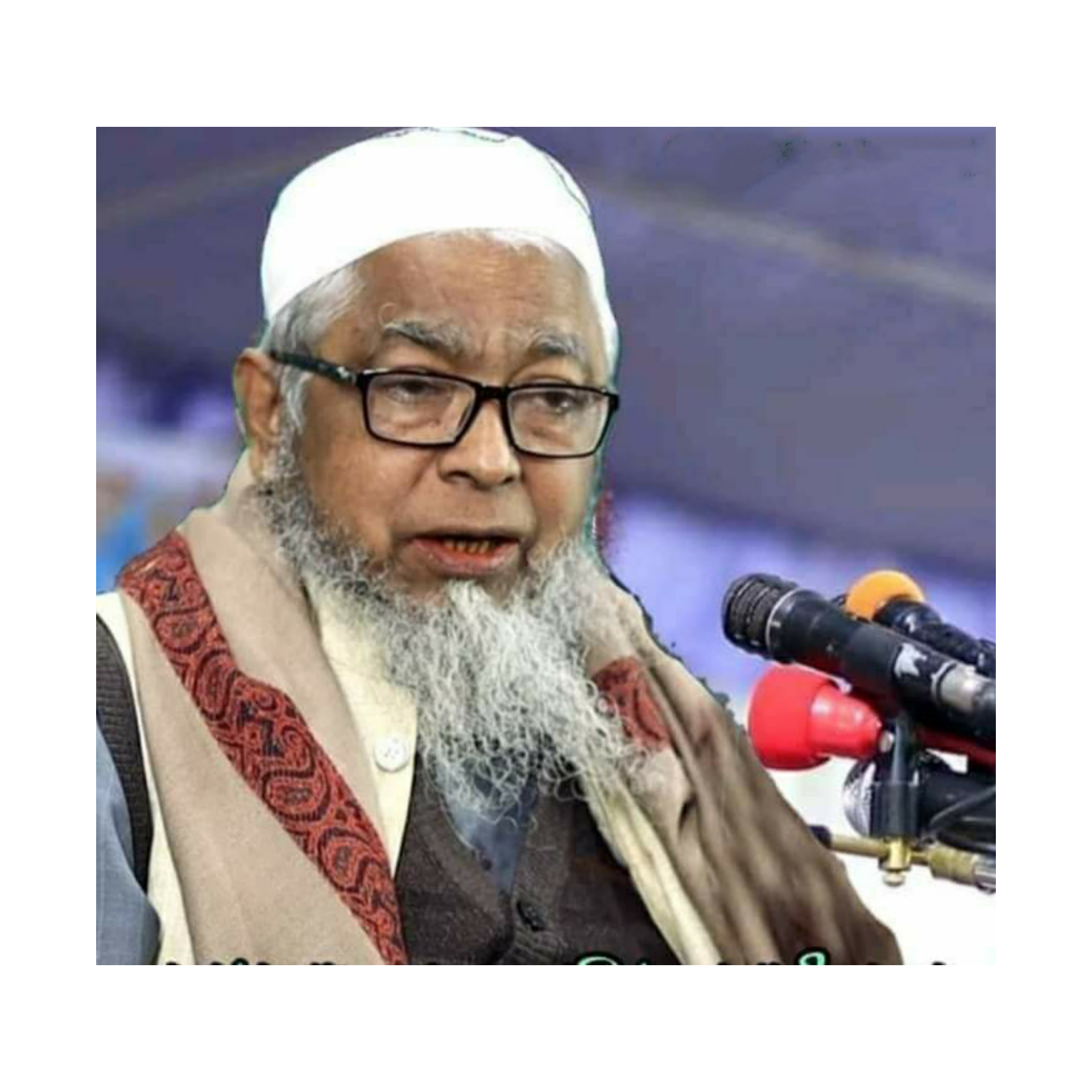 পটিয়া মাদ্রাসার মোহতামিম আব্দুল হালিম বোখারী আর নেই