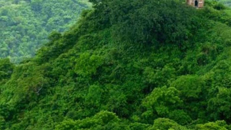 বাঁশখালীর দুর্গম পাহাড়ে অস্ত্রের কারখানার সন্ধান