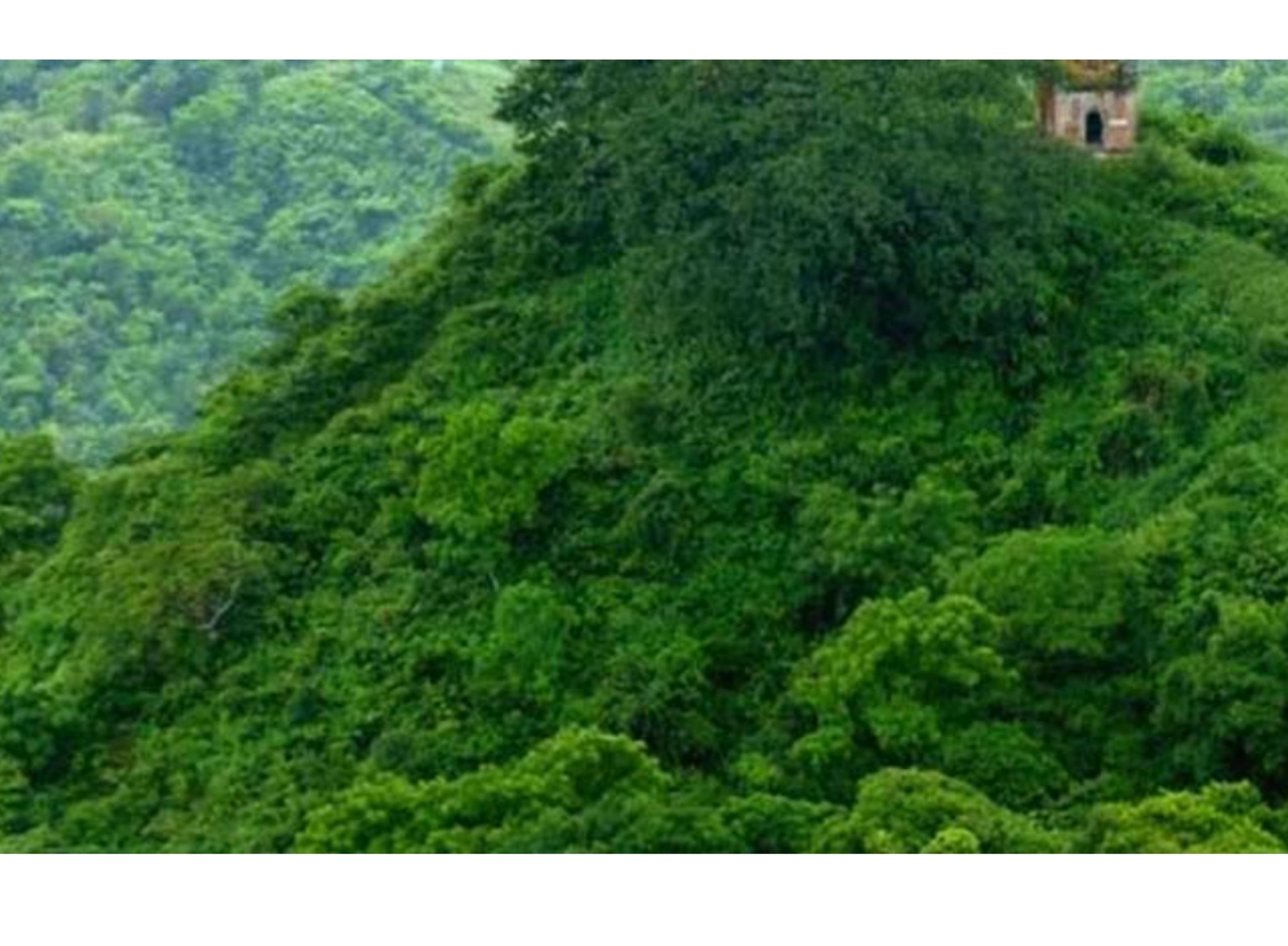 বাঁশখালীর দুর্গম পাহাড়ে অস্ত্রের কারখানার সন্ধান