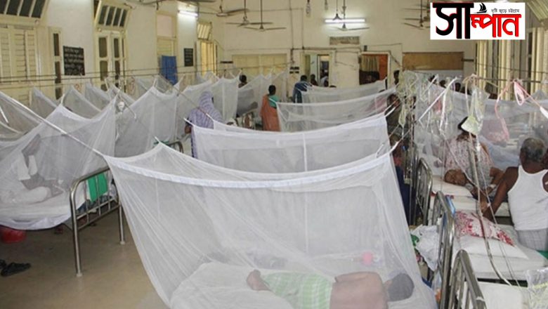 সারাদেশে ডেঙ্গু জ্বরে  ১৪ জনের মৃত্যু,একদিনে আক্রান্ত ২৭৫১