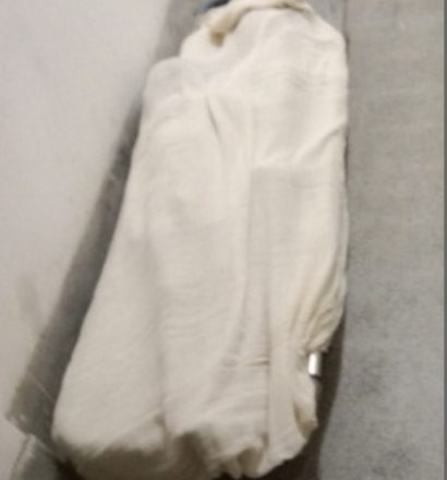 আলীকদমে বিদ্যুৎস্পৃষ্টে ২ শিশুর মৃত্যু