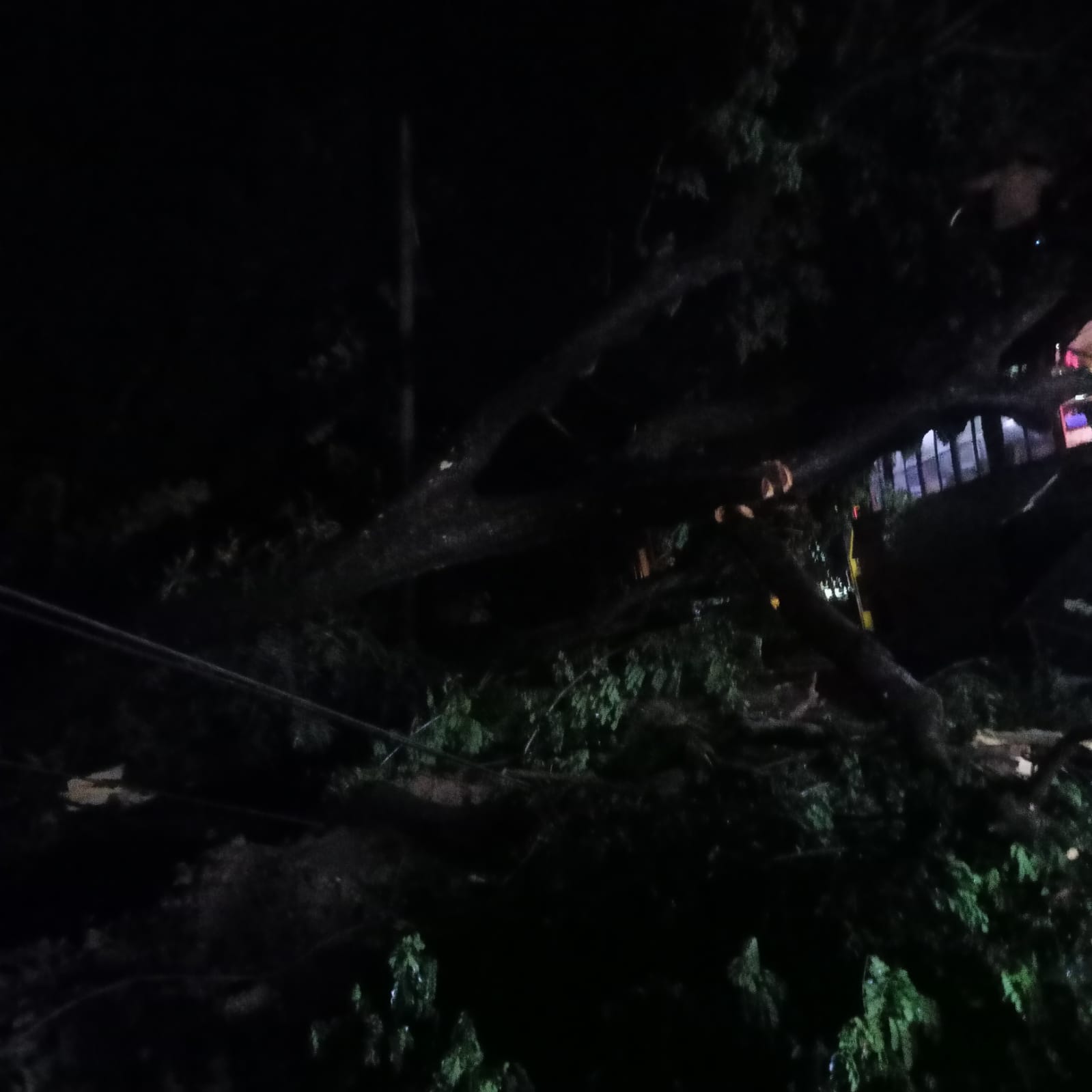 ঘুর্ণিঝড় হামুনের আঘাতে কক্সবাজার লন্ডভন্ড,ব্যাপক ক্ষয়ক্ষতি