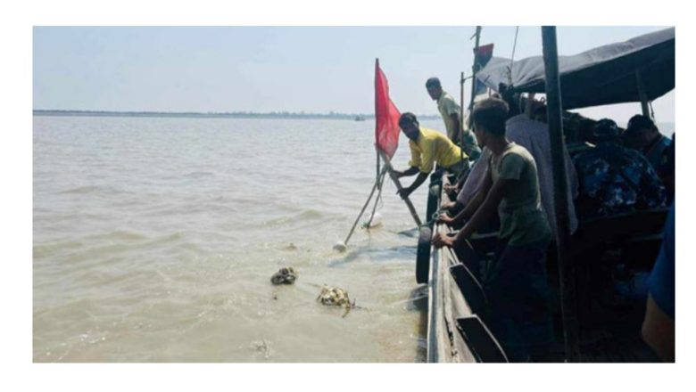 আনোয়ারায়  ইলিশ রক্ষার অভিযানে  জাল জব্দ