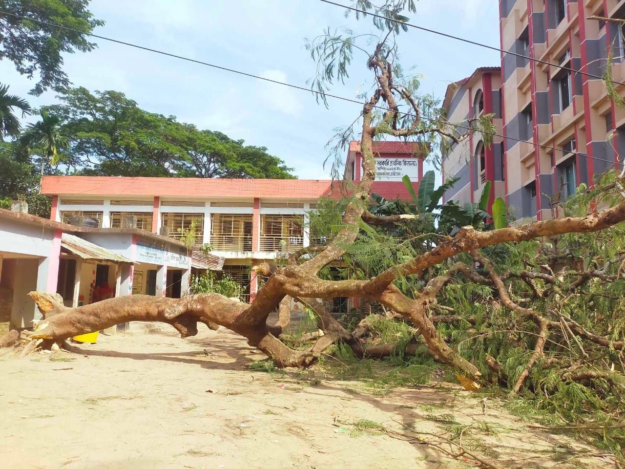আনোয়ারায় গাছ পড়ে বৃদ্ধ আহত