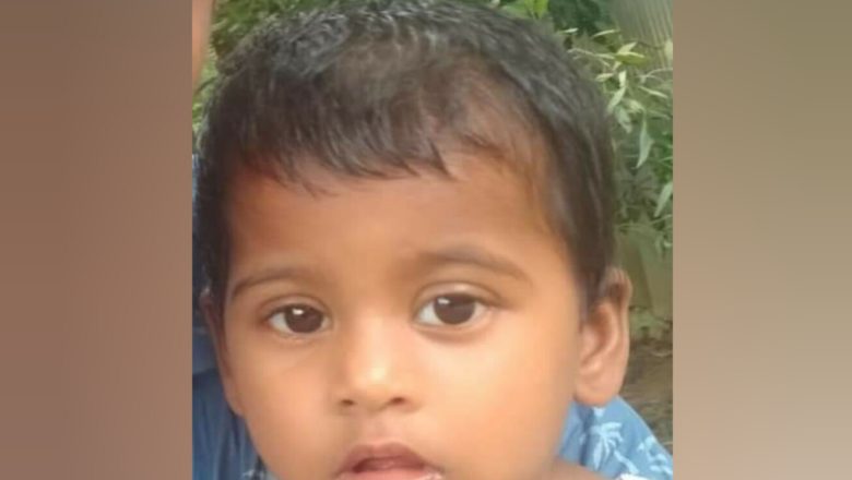 ঘূর্ণিঝড় মিধিলির ধমকা হাওয়ায় মীরসরাইয়ে গাছ পড়ে শিশুর মৃত্যু