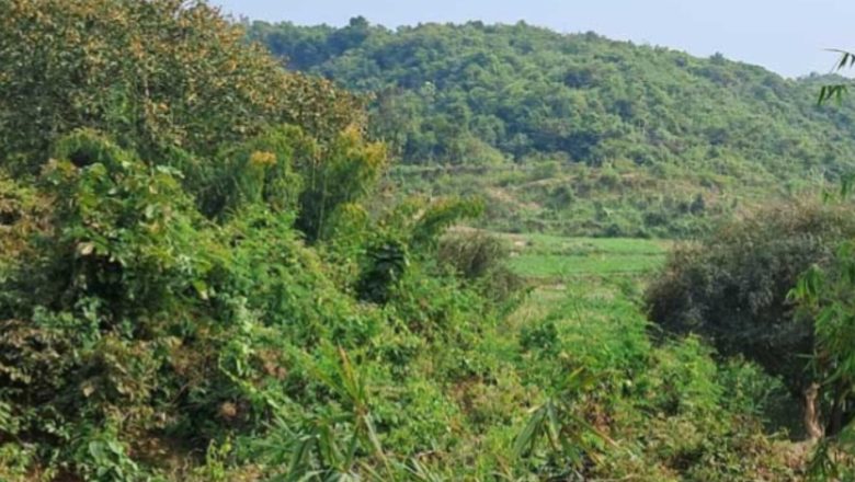 মিয়ানমার থেকে আসা মর্টার শেলের আঘাতে নাইক্ষ্যংছড়িতে ২ বাংলাদেশির মৃত্যু