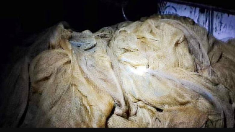 হালদা নদীতে বসানো অবৈধ ঘেরাজাল জব্দ