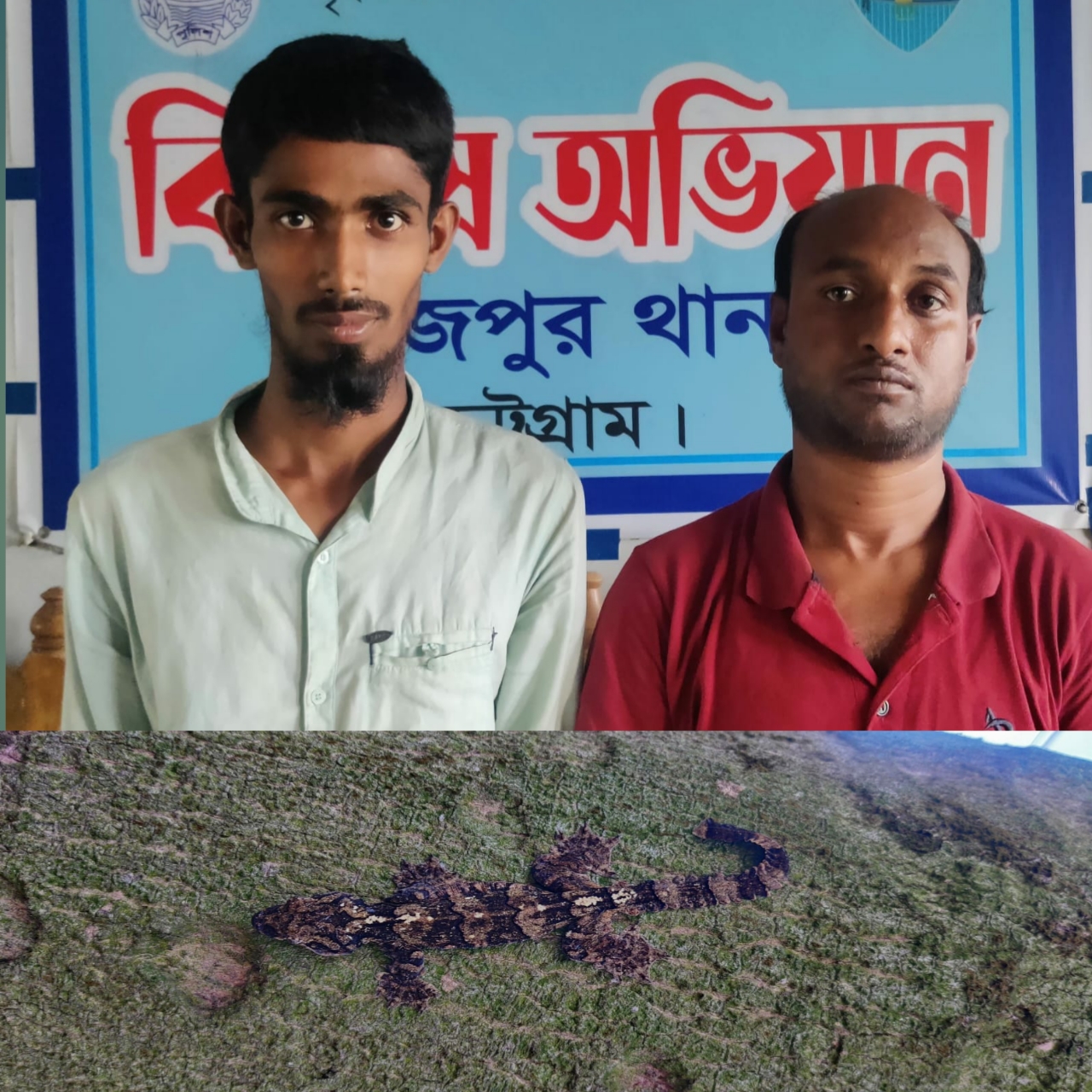 ফটিকছড়িতে তক্ষকসহ ২ জন গ্রেফতার, ছয় মাসের জেল