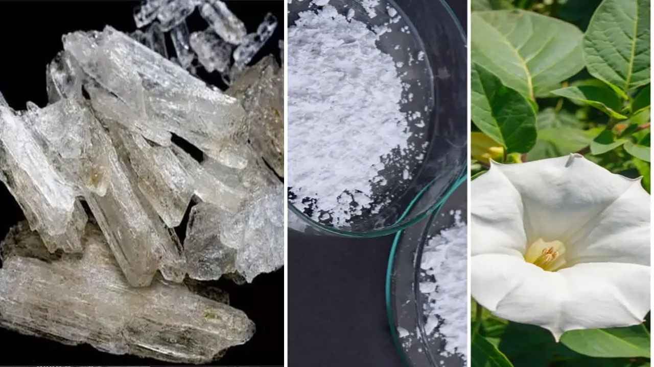 দেশে প্রতারণার নতুন নাম ‘ডেভিলস ব্রেথ’