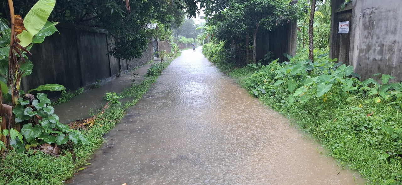 মুষলধারে বৃষ্টিতে ডুবল নোয়াখালী, জলাবদ্ধতায় দুর্ভোগ চরমে