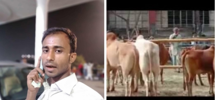 মাদক ও চোরাচালানের অভিযোগে ‘ছৈয়দ’ ঘিরে আতঙ্ক, ব্যবস্থা নেওয়ার আশ্বাস জেলা প্রশাসকের